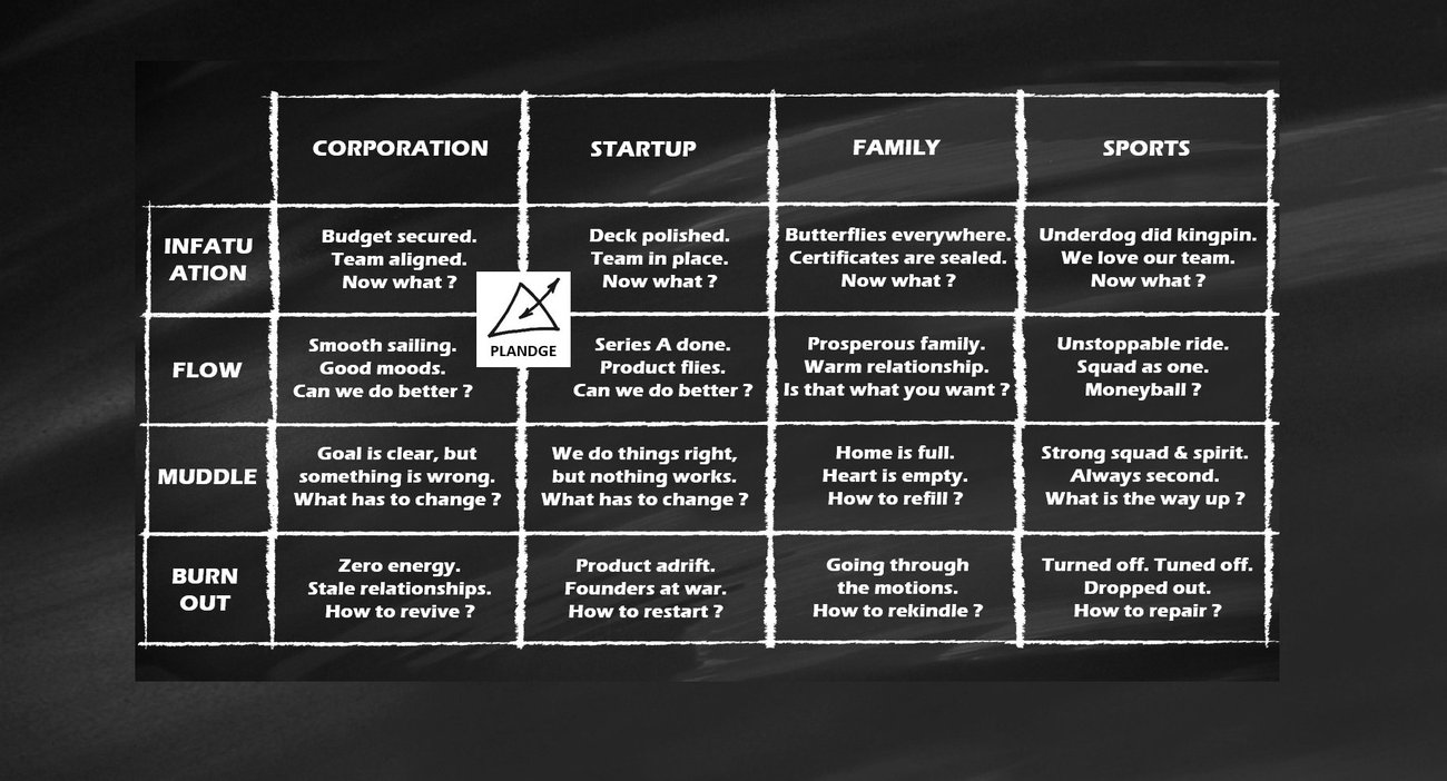 PLANDGE Matrix mapped across Corporation, Startup, Family and Sport